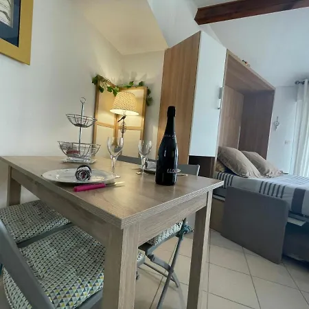 Charmant Studio Avec Terrasse Et Vue Mer A - Fr-1-550-25 公寓
