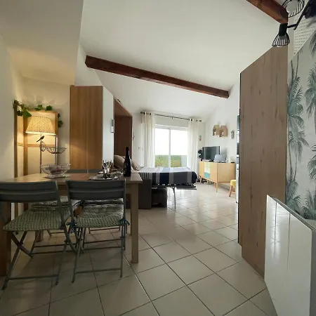 Charmant Studio Avec Terrasse Et Vue Mer A - Fr-1-550-25